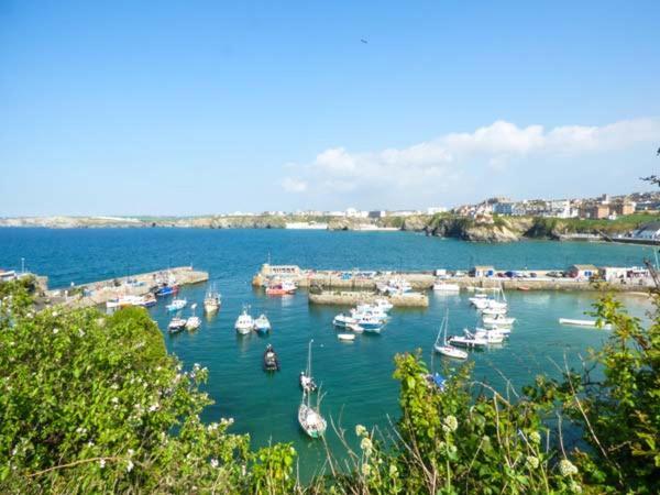 Saltwater Apartment New Quay Екстериор снимка